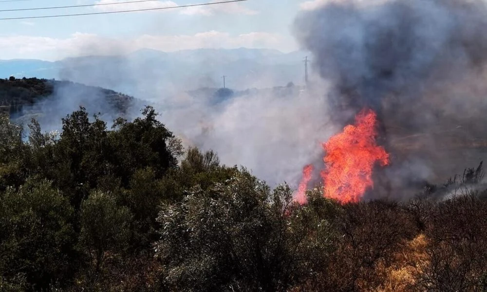 Σε ύφεση η φωτιά στην Αγία Τριάδα Βοιωτίας - Σηκώθηκαν και εναέρια μέσα